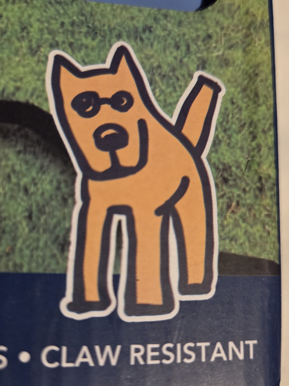 Life Is Good Pet Sprinkler Mat
